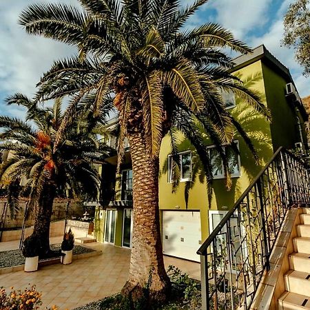 Olive Garden Apartment Petrovac Buitenkant foto