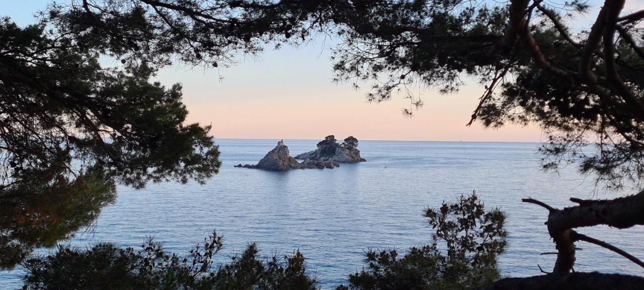 Olive Garden Apartment Petrovac Buitenkant foto