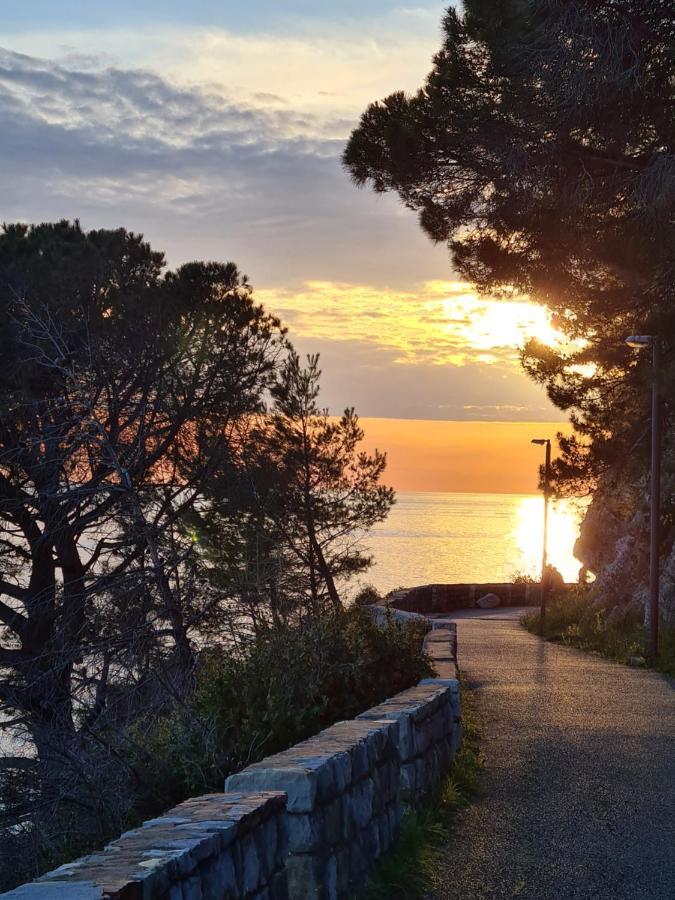 Olive Garden Apartment Petrovac Buitenkant foto
