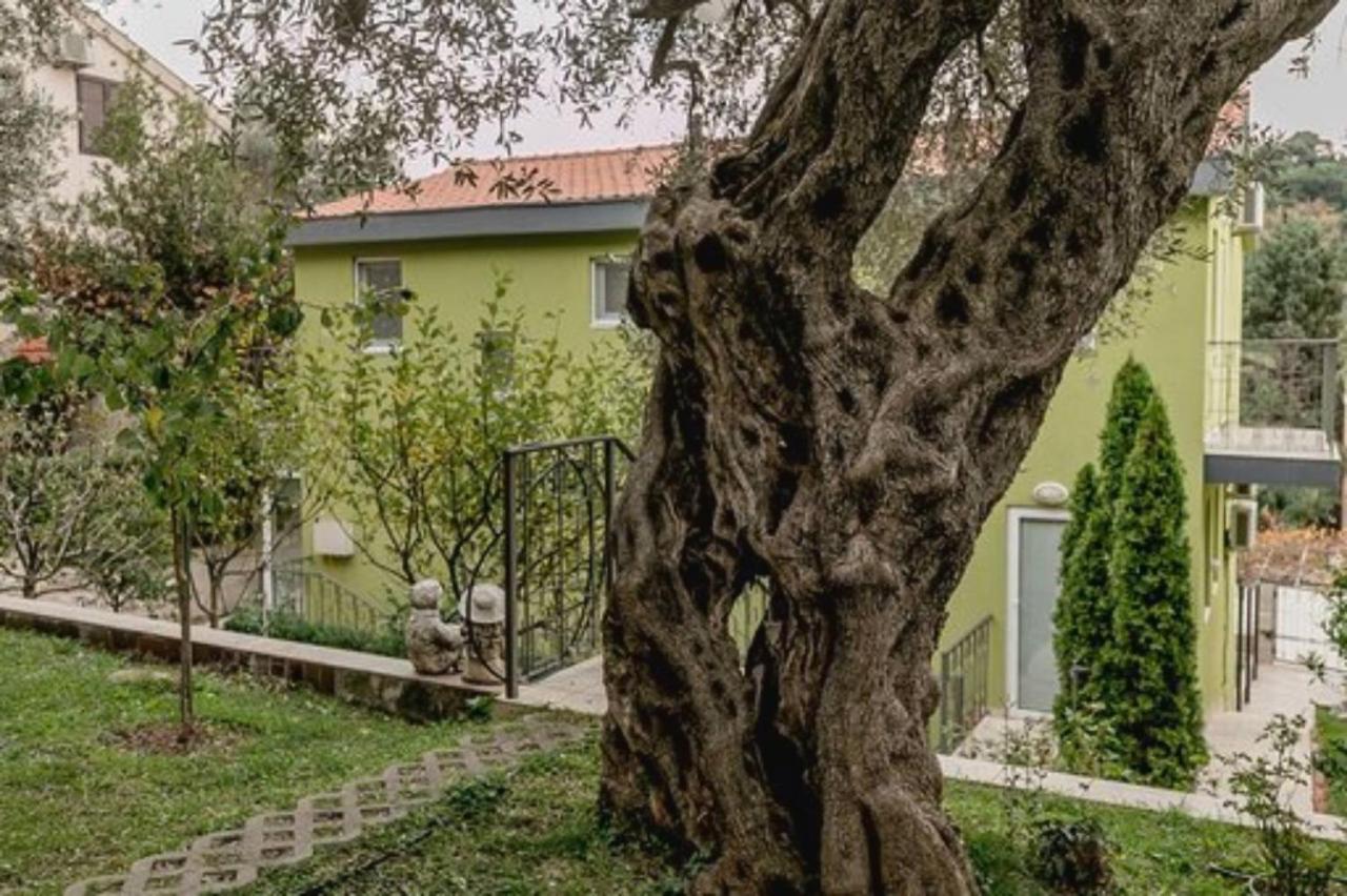 Olive Garden Apartment Petrovac Buitenkant foto